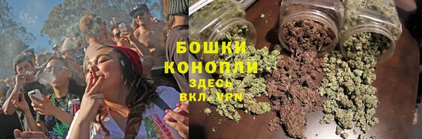 spice Осташков