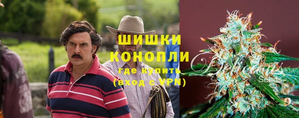 индика Остров